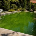 agua marrón en piscina en una piscina residencial