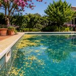polen en piscina
