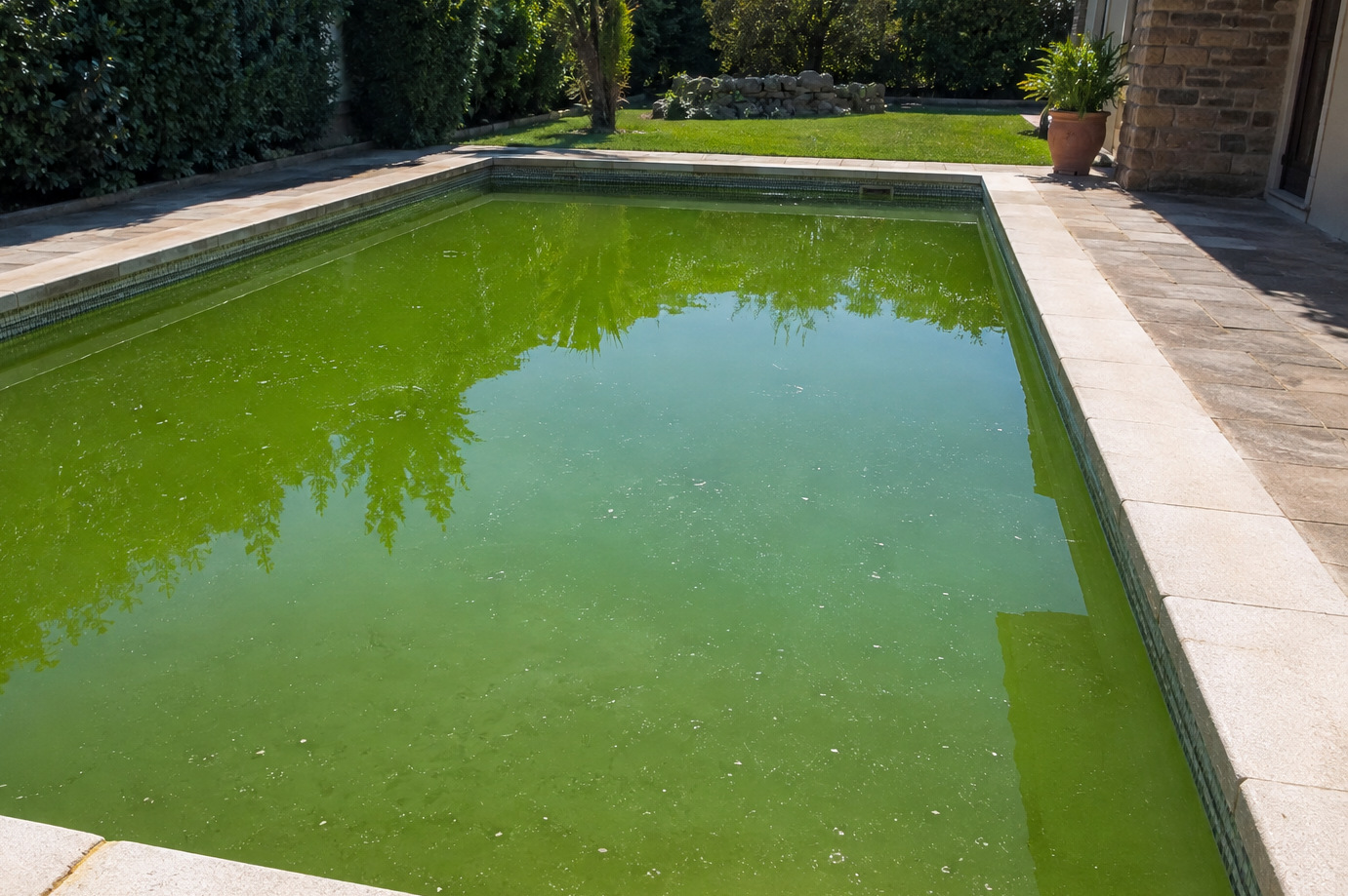 Tratamiento de una piscina turbia con floculante y filtración